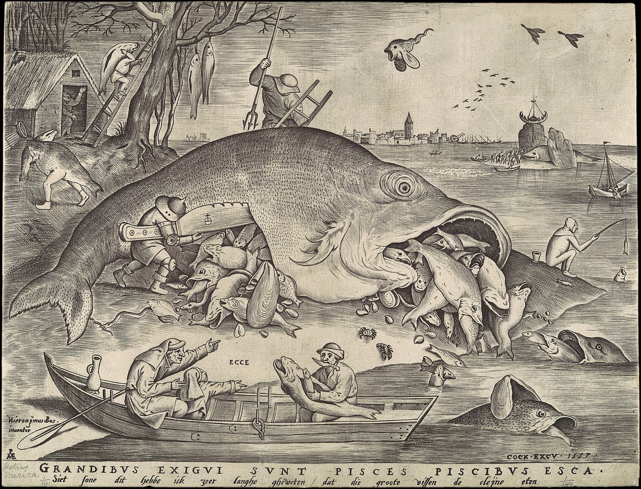 大きな魚は小さな魚を食べる